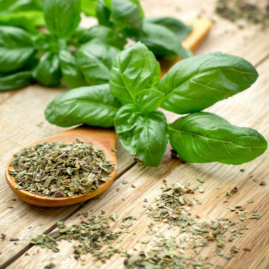 Albahaca Seca